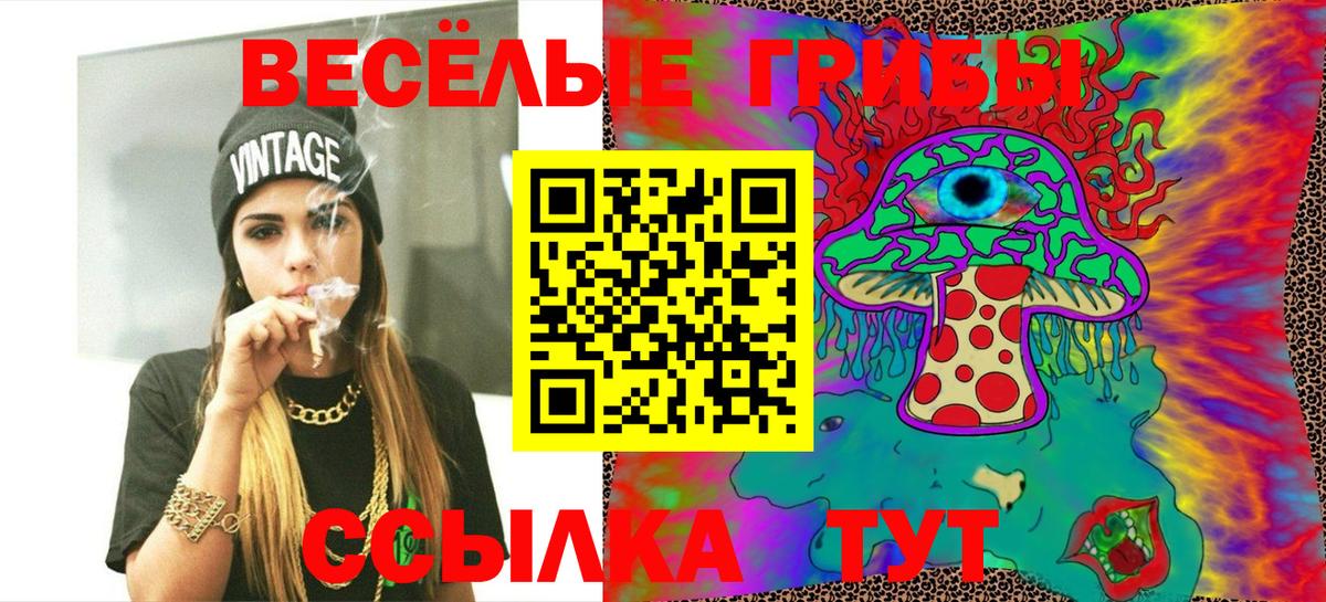 Отрадный  Галлюциногенные грибы Cubensis  Вход с VPN 